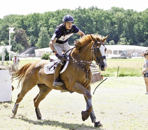 rencontre milieu equestre