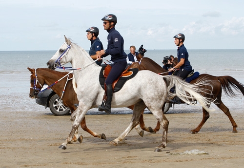 Petit galop sur la plage de St Pair-sur-Mer