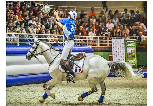 Après le succès du Horse Ball lors des Jeux Equestres Mondiaux FEI Alltech 2014 en Normandie… la 38e édition du championnat de France Pro Elite débutera à Rosières aux Salines les 1er et 2 novembre (© Olivia Kohler)