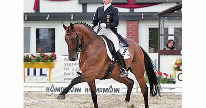 Satchmo, cheval d’Isabelle Werth, champion olympique de dressage en 2008 par équipe et médaille d’argent en individuel