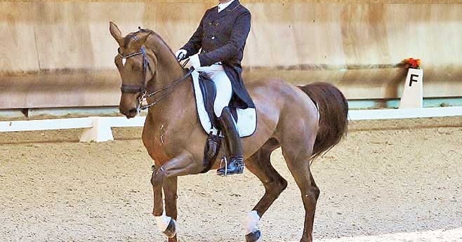 Thierry Marais remporte le Grand Prix Elite dominical