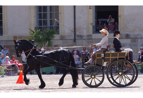 Rencontres equestres luneville 2017