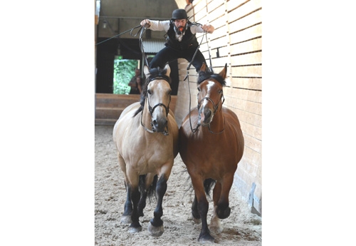 Rencontres equestres luneville 2015