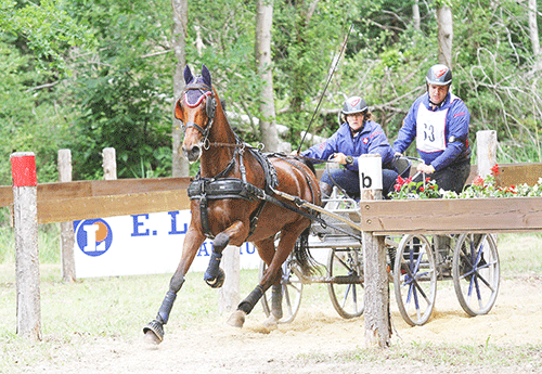 Marion Vignaud remporte le CAI à 1 cheval (Photo Pascale Vacher) 