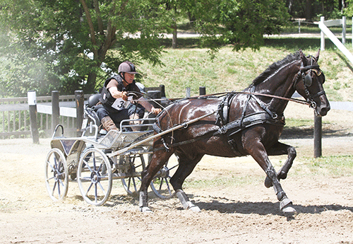 Michel Vignaud remporte le concours amateur à 1 cheval (Photo Pascale Vacher)