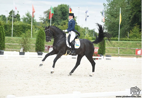 Inna Logutenkova  et associée à son cheval des JEM 2014 Don Gregorius  (© Pixels Events)