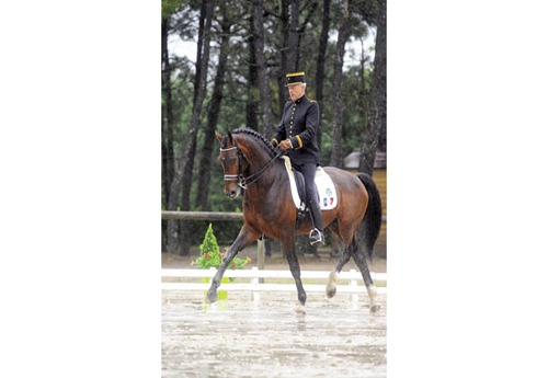 Philippe Limousin et Rock’n Roll Star Inter B (© Les Garennes)