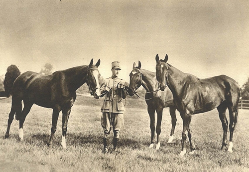 Trois chevaux du Charolais appartenant au Lieutenant de Mortanges, de l’armée hollandaise : Aramis (Dacus 1/2 s.), Marcroix, ex-Ténor II (Marsan p.s.) et Va-T’en (Pouf 1/2 s.) (de gauche à droite). Ont gagné, en 1927, en Hollande et dans les épreuves internationales, 29 prix dont 13 premiers.