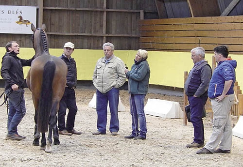 Vincent, pour l’Elevage des blés, présentait les chevaux de Liliane Fromer