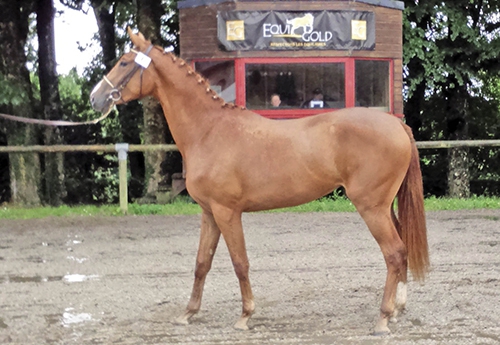 Eglantine du Pouler, 1re des 2 ans 