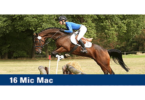 Mic Mac