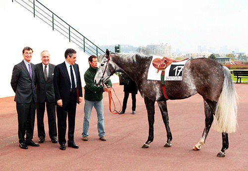 rencontre cheval