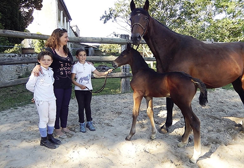1er jeune : foal de Douglas du Gué et ses nouveaux propriétaires