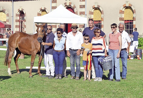 Plus de 150 poneys présents au local de Saint-Lô ! Ici la gagnante des poulinières, Molène des Verrouis (© poney-as.com)