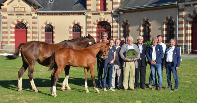 Havrix du Plant, récent vainqueur du régional à St Lô, fera partie des foals présents