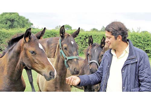 Gérald Martinez entouré de quelques foals de l’année
