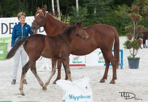 Hintuition de Jerina - Jerome et Sabrina Hache (© MHD Photo)