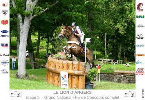 Lion d'Angers - mai 2017 - Trompe l'Oeil