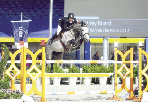 Joffrey Buard remporte le Grand Prix Pro 1 avec Winnie The Pooh 111 Z (Ici au Championnat du Monde 2015 de Lanaken (© Sporfot)