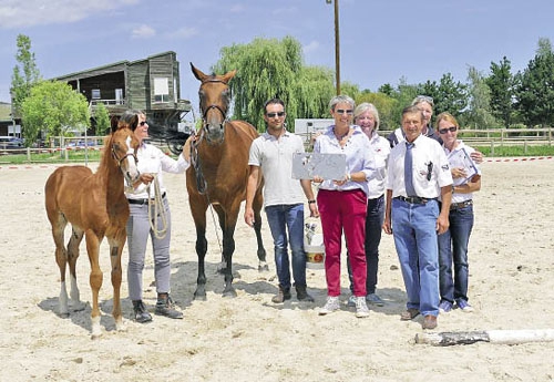 A Montbrison, c’est Irlhand de Jorance le champion suprême des foals