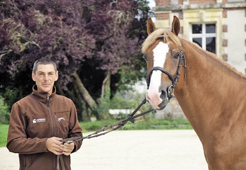 Champagne D’Ar’Cus au Haras de St Lô avec Mathieu Laisney (Photo VM)