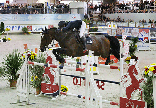 Photos Jean BougieC’est un trio bleu-blanc-rouge qui s’empare du Grand Prix3* de la Ville de St Lô lors du Meeting d’Automne qui aura tenu toutes ses promesses, et même plus, lors d’un week-end dont le sport de haut niveau magnifia les championnat des mâles de 2 et 3 ans, et créa un vrai dynamisme autour des Ventes Nash. L’Ardenaise qui défendit l’équipe de France aux Jeux Equestres Mondiaux de Tryon avec Volnay de Boisdeville s’octroie une belle victoire. La suivent sur le podium, barrant la ro