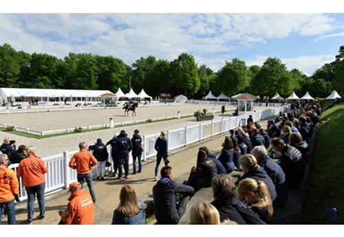 Tribunes et stands au plus près des champions (© Agence Ecary)