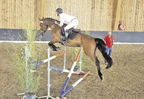 Estéban Nedelec présentait un cheval de saut d’obstacles.