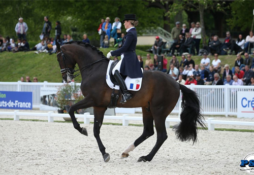 Morgan Barbançon et Sir Donnerhall II, Old (© PSV)