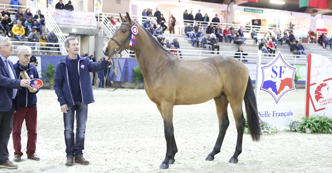 Hors Norm du Lavoir (© ER)