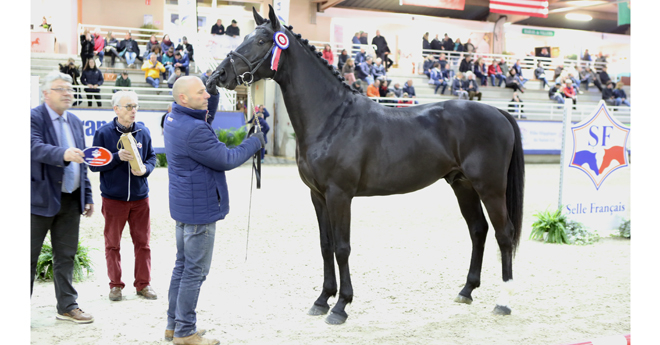 Hollister du Plantey 3e du championnat (© ER)