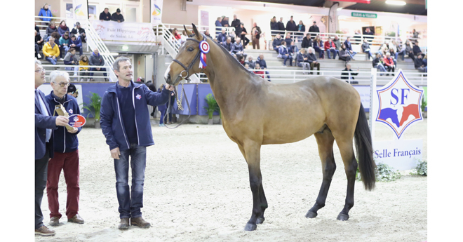 Hors Norme du Lavoir Champion (© ER)