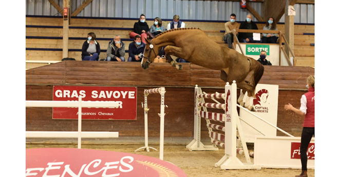 Lobke de Vinck (© PSV Morel, Coll. Fences)