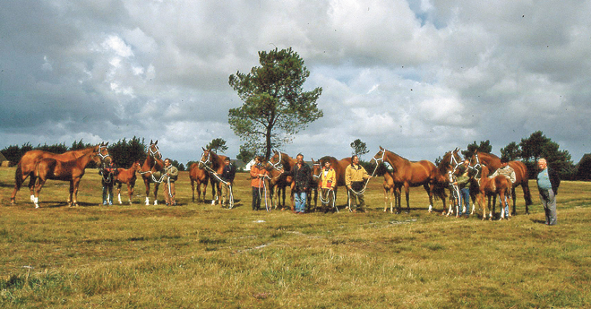 Cétoile, Sisi, Métoile, Toile,Apoline, Dany, Grandeur et Fétiche (© Jean Bougie)