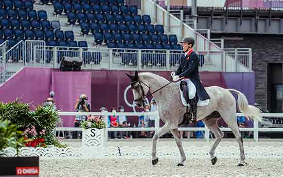 Olivier Townend: maîtrise absolue (©FEI)