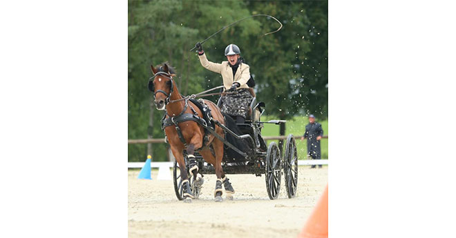 Bérengère Cressent et Dakotah's Owen, médaille de bronze en attelage solo (© Mélanie Guillamot)