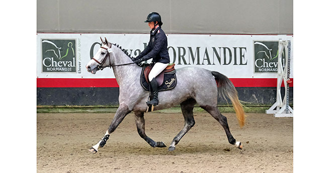 Indiana Semilly (© Jean Bougie/Equin Normand)