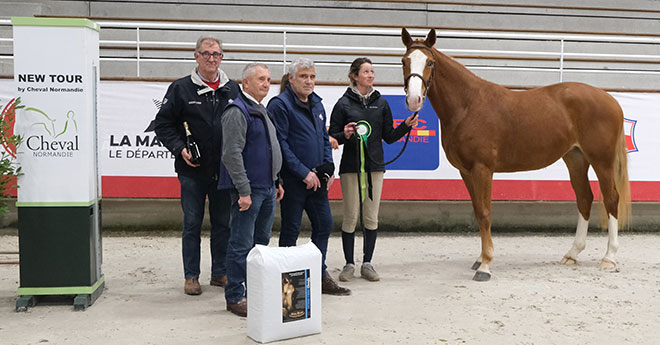 Idéale Longane ((© Jean Bougie/Equin Normand)