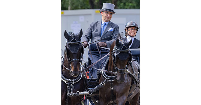 Franck Grimonprez prend la tête dès le dressage