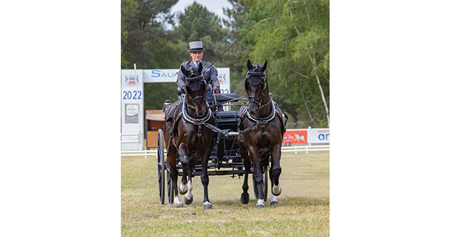 Franck Grimonprez, vice-champion du Monde remporte le CAI3 de la catégorie Chevaux en paire