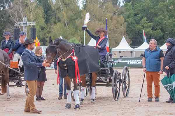 Pascal Sayous PDG de Centaure Production sur la remise de la coupe des Nations 2021