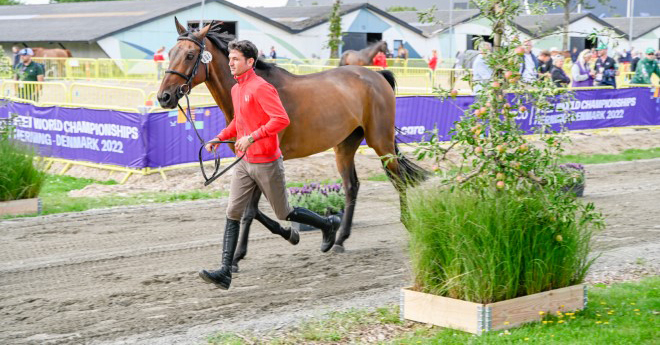 Steve Guerdat et Venard de Cerisy (© Kasper Kamuk)