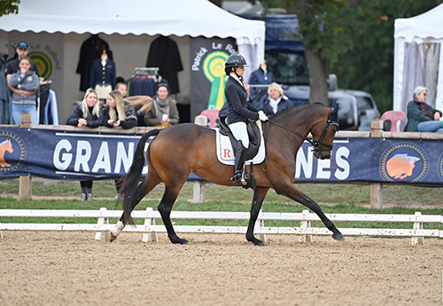 Flamboyante de Fontaine/Lena Thouvenin (© Les Garennes)