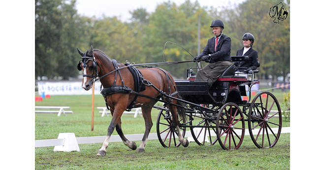 Caresse de Marlemont, 1re en Formation (© ML) 2