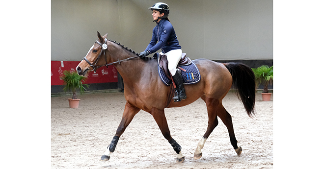 Jelka de la Cour (© Cheval Normandie/Jean Bougie-Equin Normand)