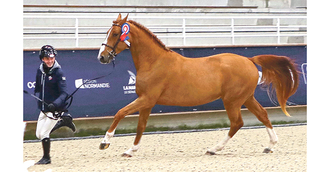 Jet des Forêts champion des 3 ans