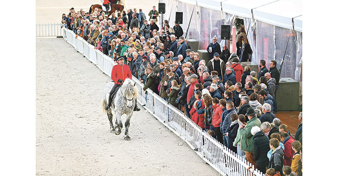 Le Percheron, c’était l’emblème du Pin