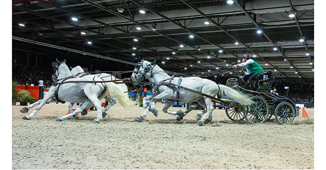 Le néerlandais Bram Chardon impressionnant sur cette finale de coupe du Monde avec ses chevaux spécialisés d'indoor (© Melanie Guillamot)