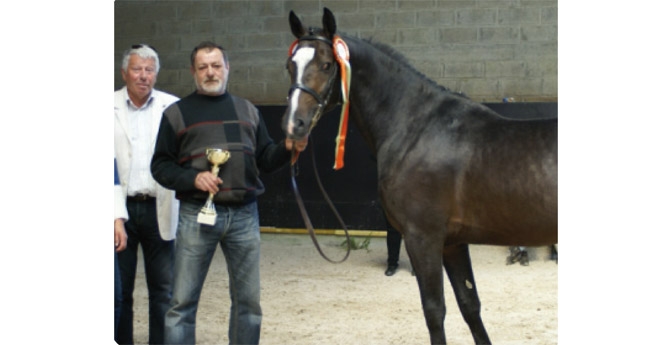 Bamby de la tour, champion poney 3 ans