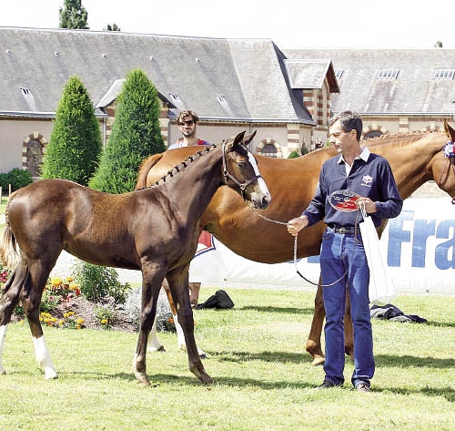 Elle Miss Koko à St-Lô (Photo ER)